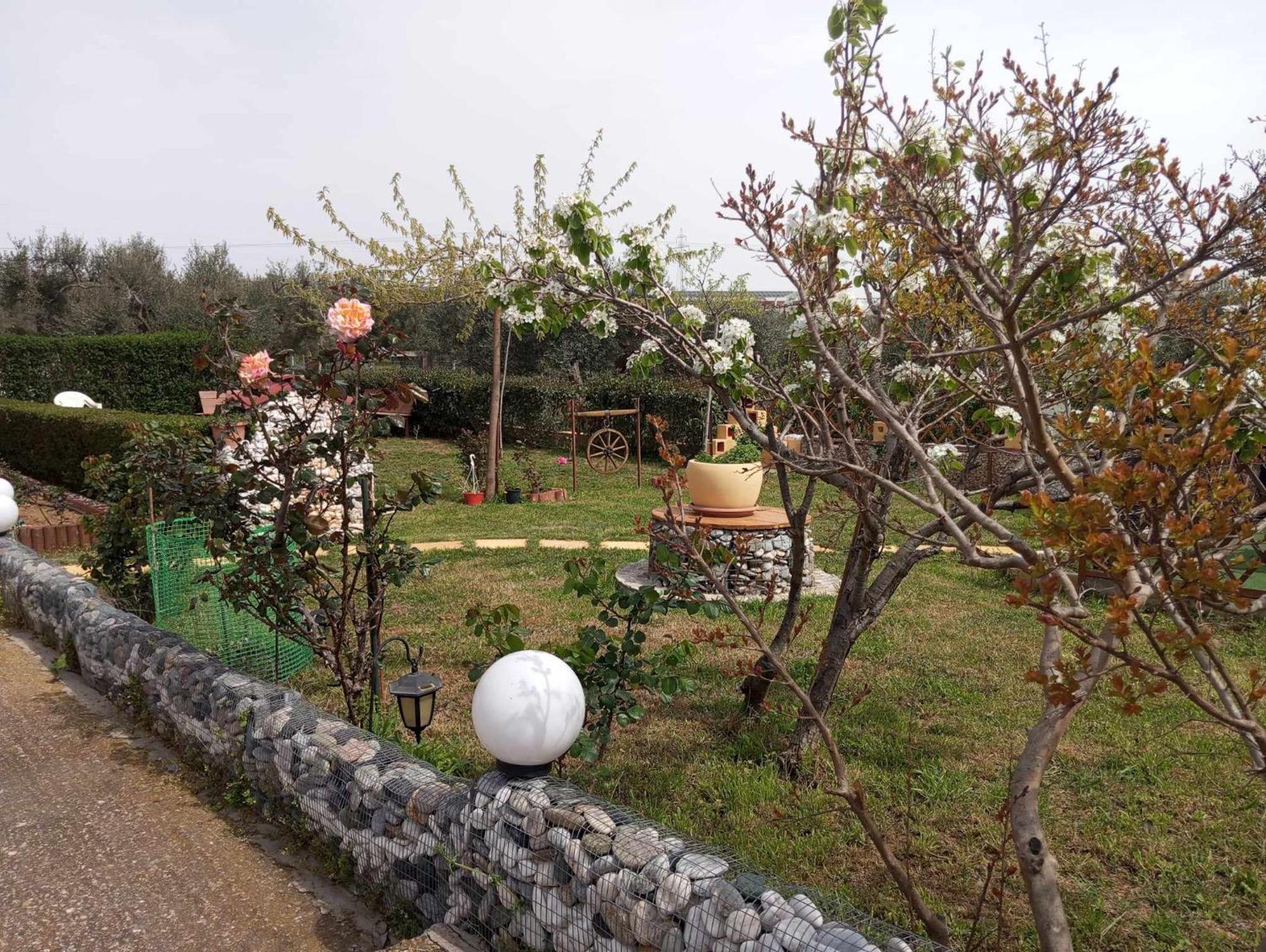 Dora'S Garden Villa Alexandroúpoli Extérieur photo