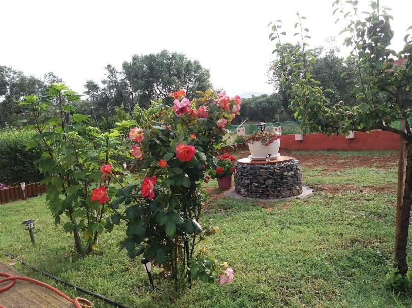 Dora'S Garden Villa Alexandroúpoli Extérieur photo