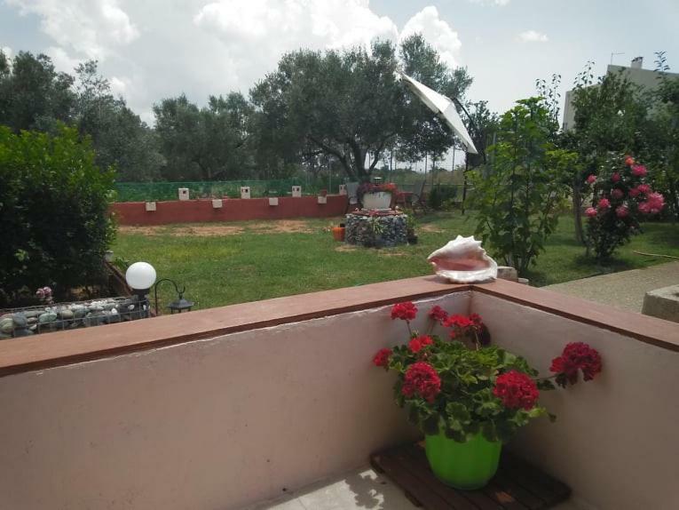 Dora'S Garden Villa Alexandroúpoli Extérieur photo